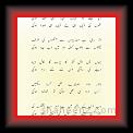 Ayuaab Khawar 01 * 22.03.2008 * 524 x 808 * (34KB)